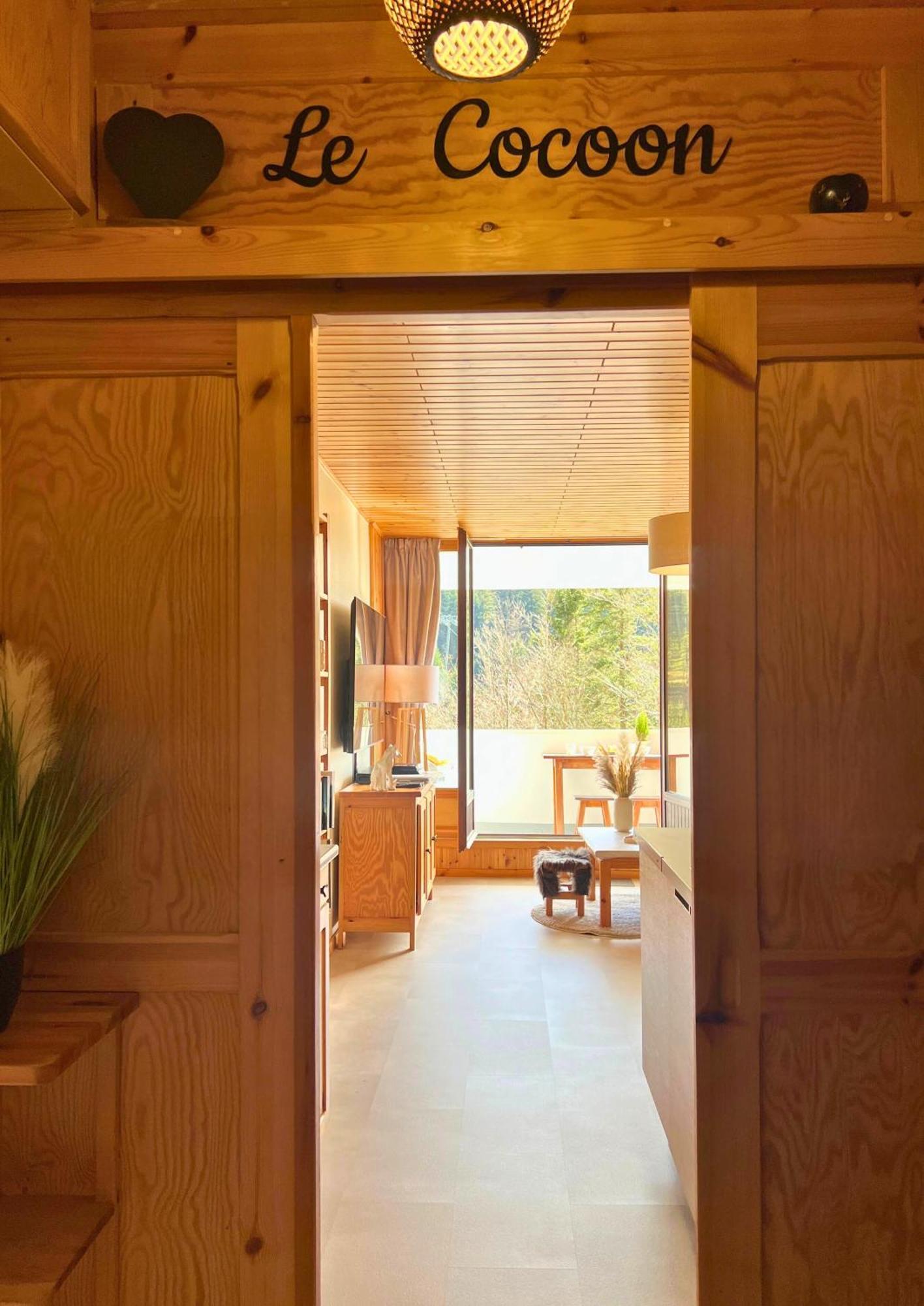 Le Cocoon - Appt Vue Montagne Apartment La Bresse Ngoại thất bức ảnh