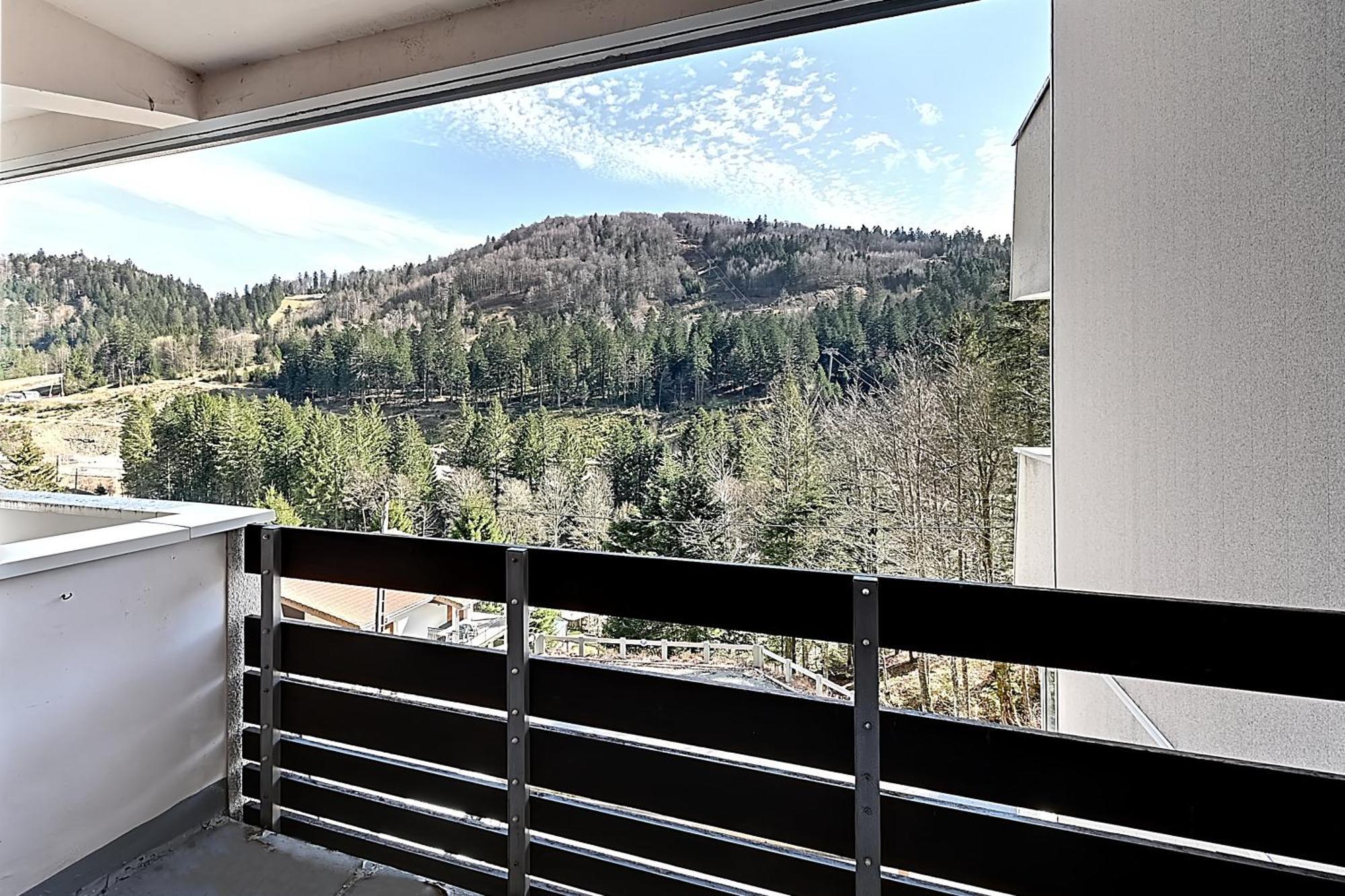 Le Cocoon - Appt Vue Montagne Apartment La Bresse Ngoại thất bức ảnh